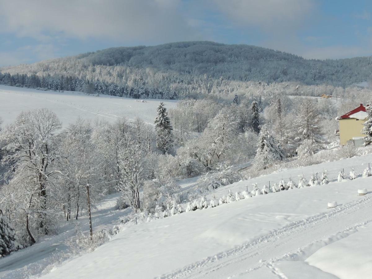 Kiczurka Bieszczady Holiday home *