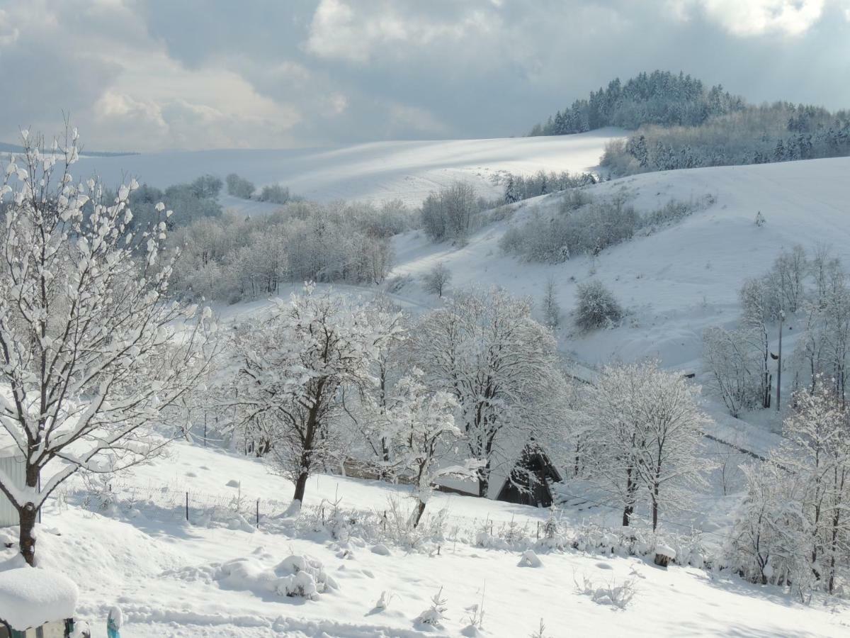 Kiczurka Bieszczady Feriehus Baligród