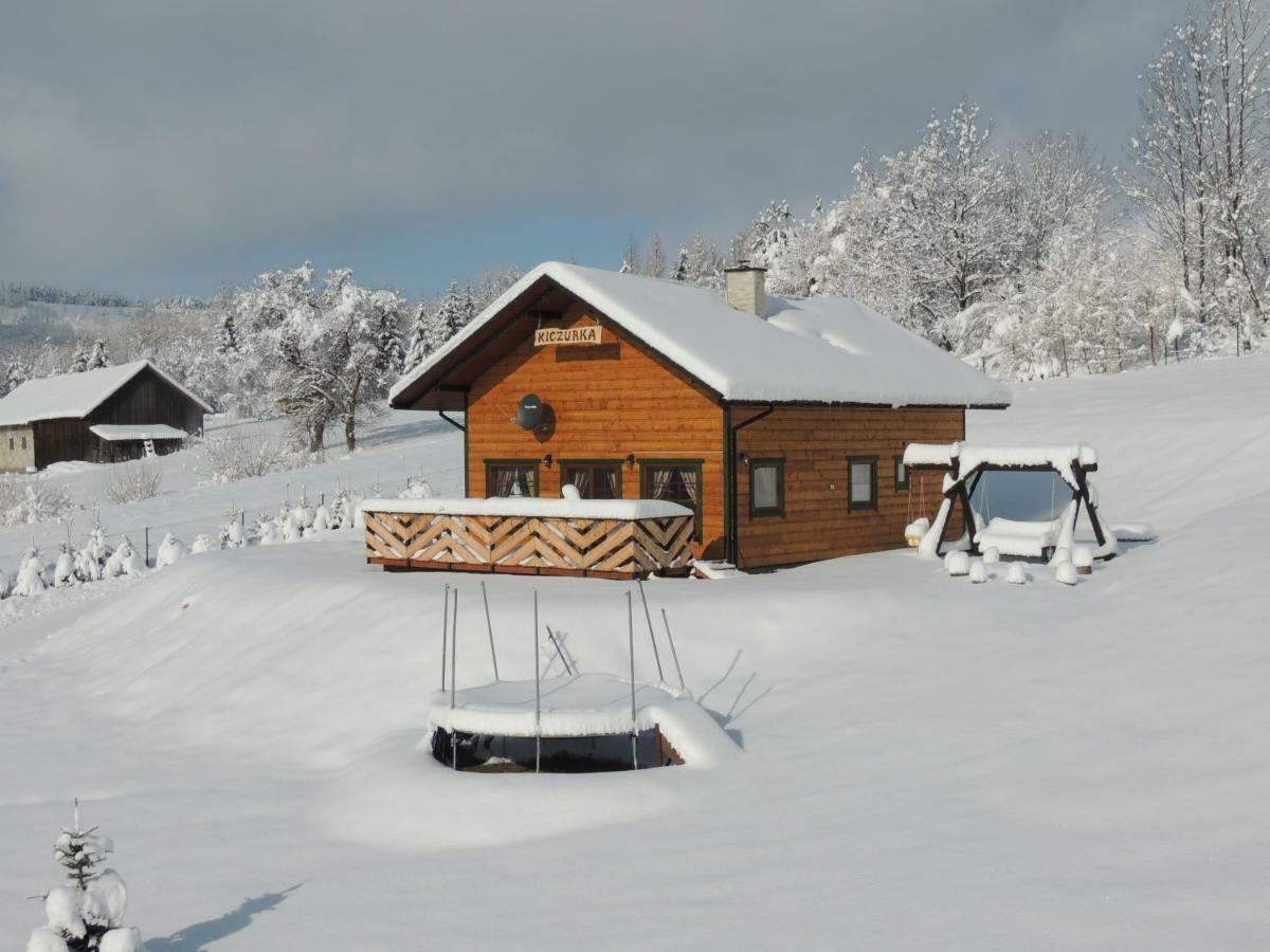 Kiczurka Bieszczady *