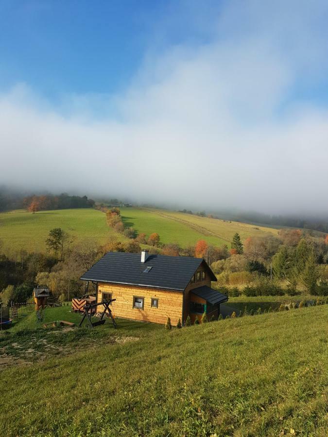 Kiczurka Bieszczady Feriehus Baligród